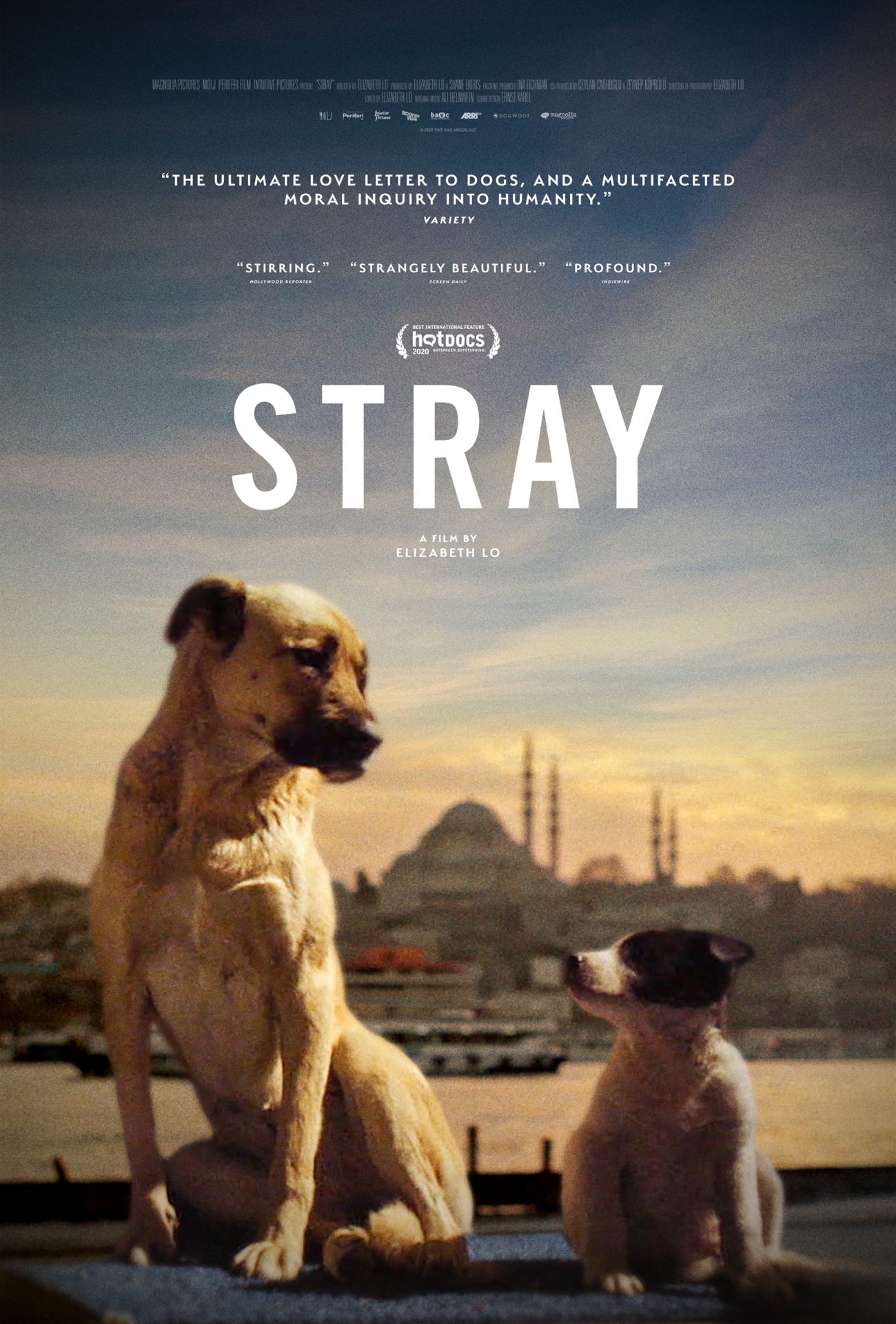 STRAY