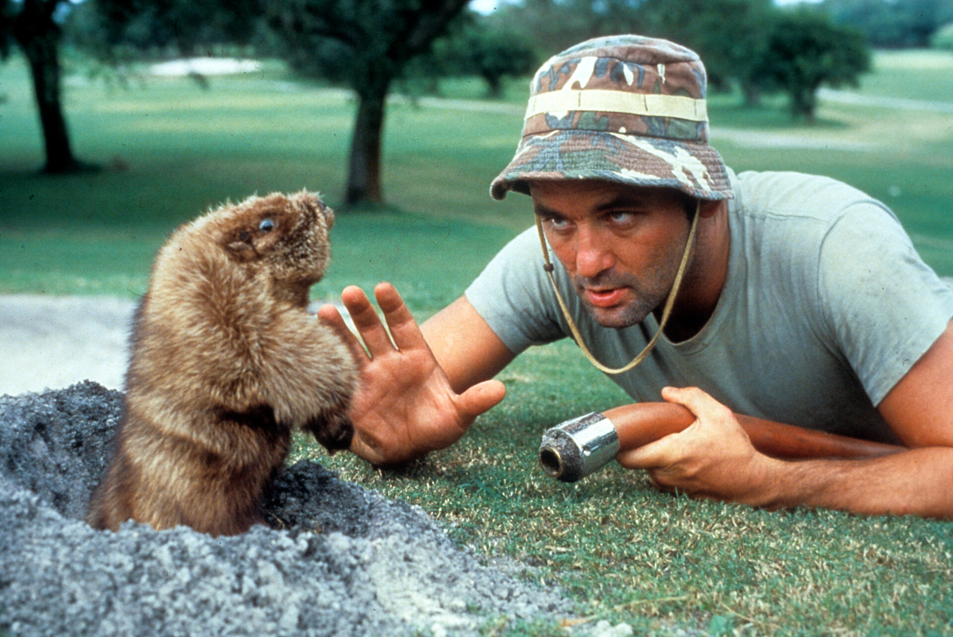 Bill Murray In 'Caddyshack'