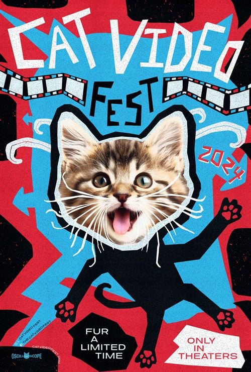 CAT VIDEO FEST 2024 Image