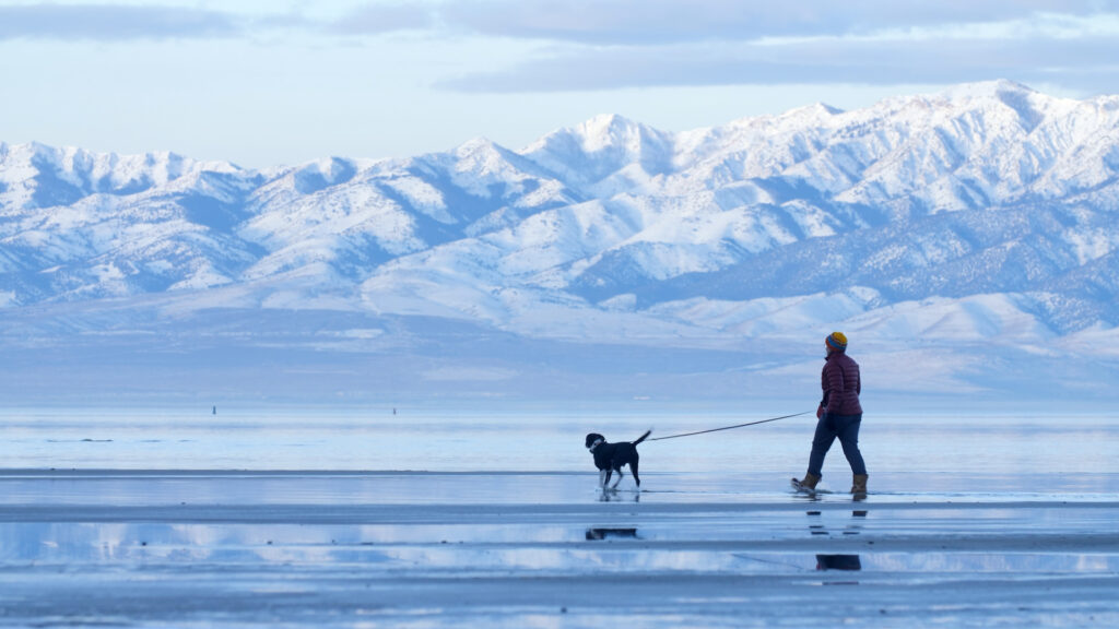 THROUGH THIN ICE Image