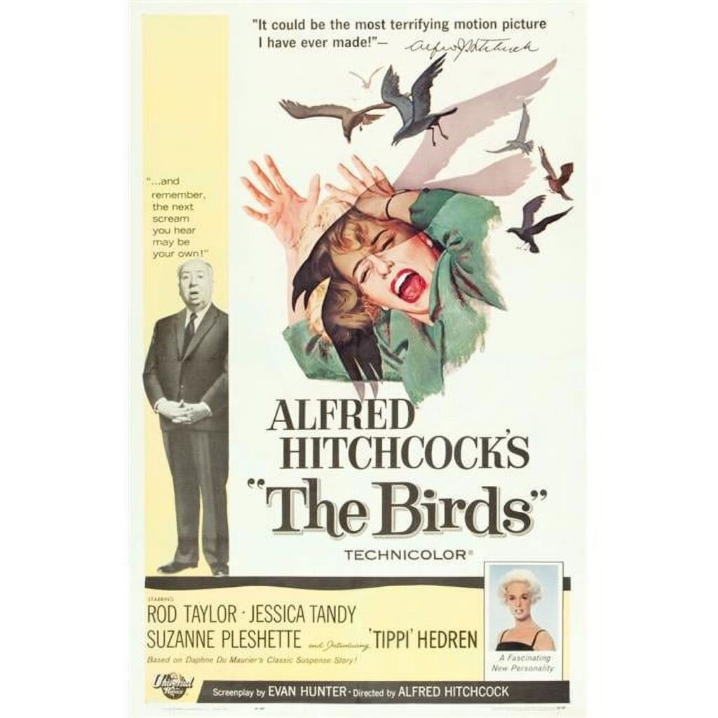 THE BIRDS (1963) Image