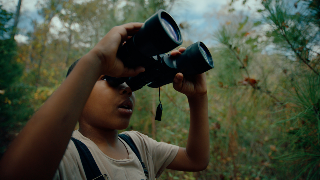 THE BOYS AND THE BEES Image