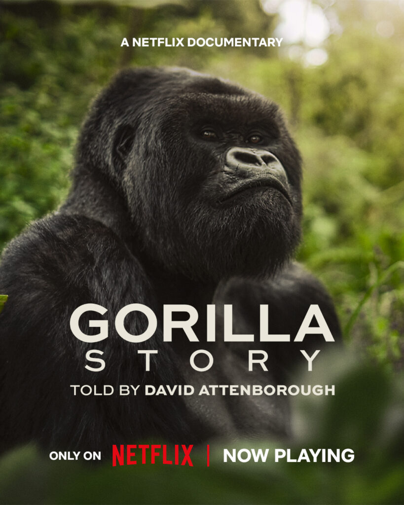 A GORILLA STORY: TOLD BY DAVID ATTENBOROUGH Image
